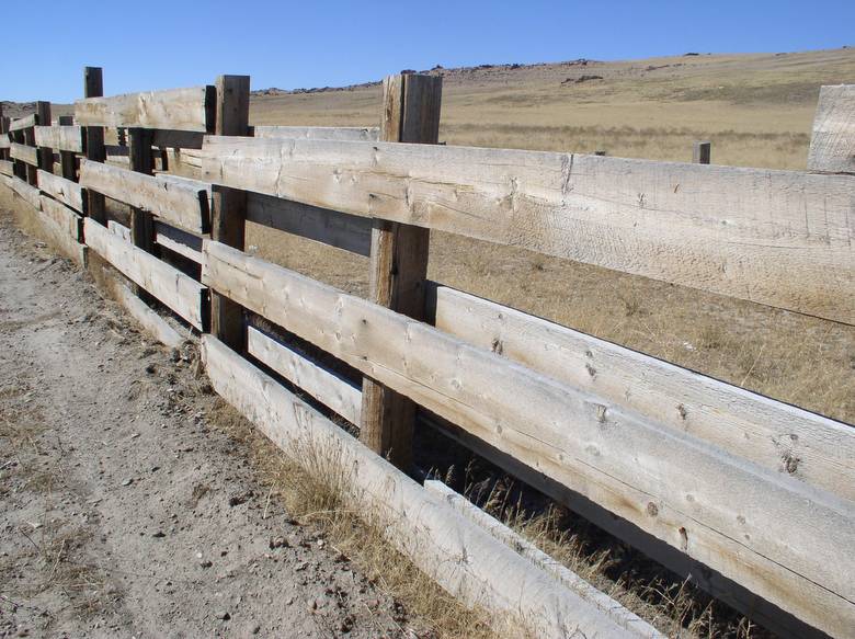 2" Alpine Fir Fencing